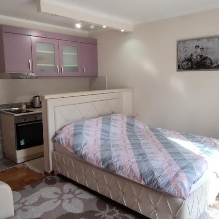 Alex 2 Apartman Vrnjačka Banja Exterior foto