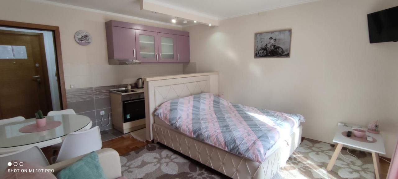 Alex 2 Apartman Vrnjačka Banja Exterior foto